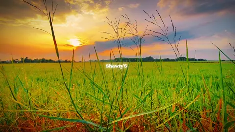 #CapCut Replay x mood . #capcutvntn #viral #chill #replay #mood #nature #fyp 