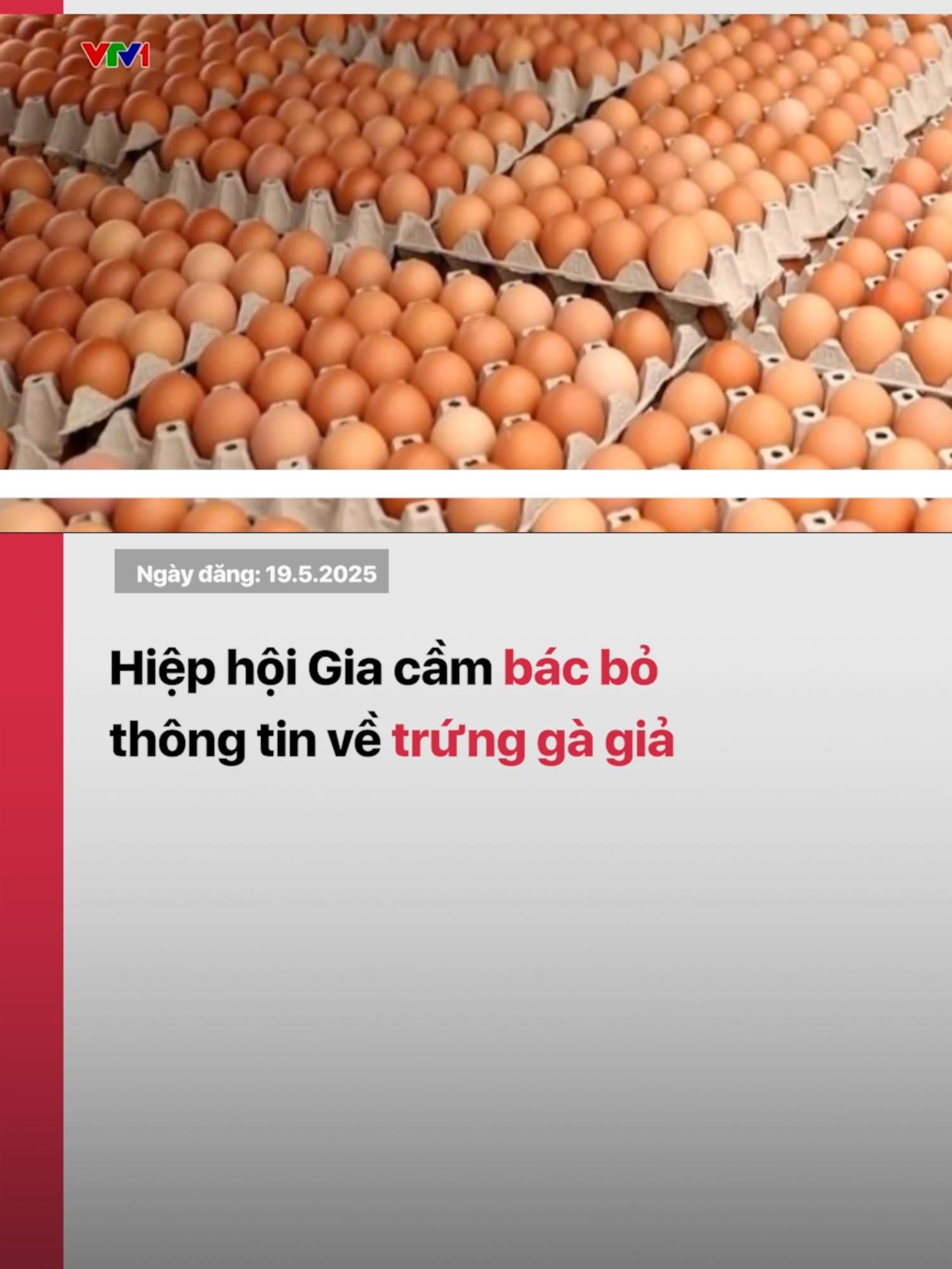 Đến thời điểm này, trên thế giới chưa có bằng chứng khoa học về việc sản xuất trứng gà giả có đặc điểm giống như trứng gà tự nhiên #tiktoknews #vtvdigital #vtv24 #trunggia #fakenews #tingia #trunggagia #trungga