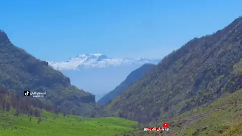 عامر الكاظمي . قَالُوا يَا أَبَانَا إِنَّا ذَهَبْنَا نَسْتَبِقُ وَتَرَكْنَا يُوسُفَ عِندَ مَتَاعِنَا فَأَكَلَهُ الذِّئْبُ ..  #قرآنالكريم#المنشاوي #القرآن_الكريم#المنشاوي_الخاشع #القرانالكريم#الشيخ_المنشاوي #قرانلكريم#محمد_صديق_المنشاوي القرآنالكريم#حيدرالبزوني#حيدر_محسن_البزوني #القارئ_حيدر_محسن_البزوني#اصدقاء_القرآن #haider_ir #اصدقاءالقران  #عامر_الكاضمي #قراء_العراق
