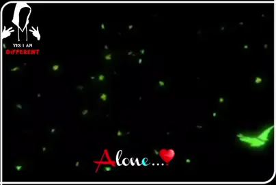 زمہ بارہ کے دومرہ سوچ مکوہ قربان-#foryouu #foryoupage❤️❤️ #fyp #foryouu #foryoupage❤️❤️ #fyp #foryouu #foryoupage❤️❤️ #fyp #foryouu #foryoupage❤️❤️ #fyp 