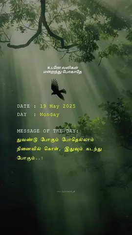 இதுவும் கடந்து போகும்🙂🥀 #foryou #foryoupage #fo #fy #fyp #fypage #fyppppppppppppppppppppppp #fypシ゚ #fypシ゚viral🖤tiktok #fypシ゚viral🖤tiktok☆♡🦋myvideo #fypシ゚vira #fypシ゚viral🖤video #fypシ゚viraltiktok 