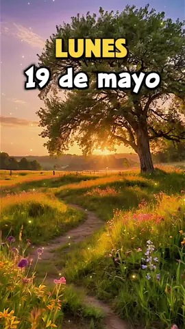 Lunes 19 de mayo. hoy es lunes 19 de mayo, buenos días gracias Señor  por un nuevo amanecer por una nueva semana que inicia#CapCut #oracion#lunes#19mayo#buenosdias#dios#señor#padre#jesus#faith#gracias#amen#videopaisajes#motivacion