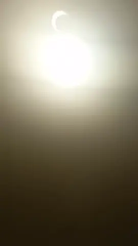 #flashpio 