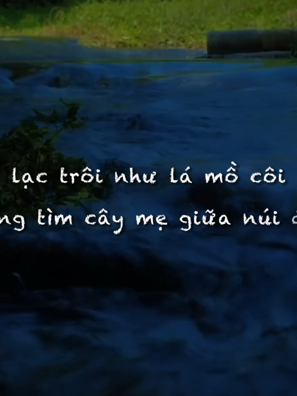 Một vòng quay thời gian ta là bụi là sương là gió, lạc trôi như lá mồ côi💐...