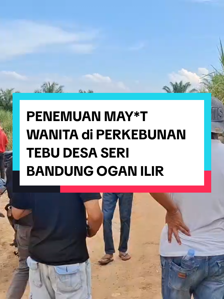 INDRALAYA - Sesosok mayat wanita ditemukan di perkebunan tebu wilayah Desa Seri Bandung, Kecamatan Tanjung Batu, Ogan Ilir, pada Minggu (18/5/2025) siang sekira pukul 13.30. Penemuan jasad wanita ini pertama kali diinformasikan oleh petani yang melintas di area perkebunan tebu tersebut. Informasi yang dihimpun, wanita tersebut diketahui merupakan warga Desa Betung 1, Kecamatan Lubuk Keliat, Ogan Ilir. Kepala Desa Betung 1, Dedi Kirana membenarkan bahwa wanita yang ditemukan tak bernyawa itu merupakan warga desanya. 