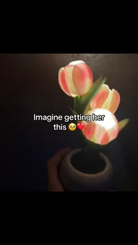 #tulips #tuliplight #gifts #giftsforher #fyp 