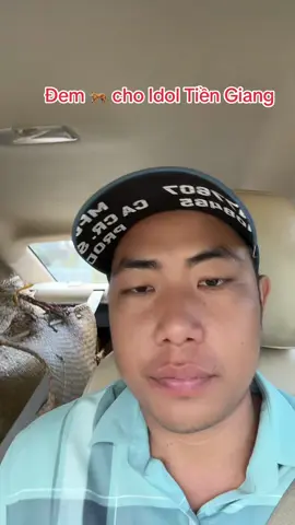 Đem 🐅 cho Idol Tiền Giang#thinhhanh #xuhuong ##xuhuongtiktok #94baclieu 