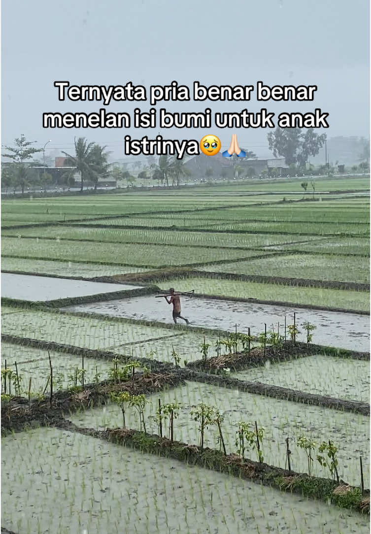 Sehat sehat bapak dan semua laki laki pekerja keras 🫶🏻✨