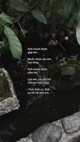 …#tamtrang #story 