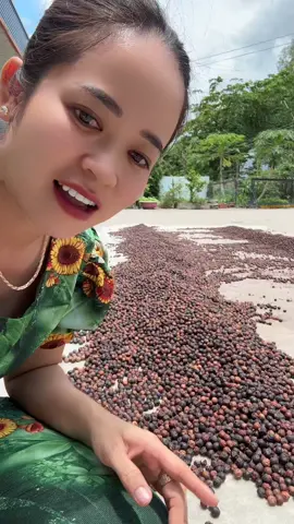 Trái đủng đỉnh rất đẹp bao chất lượng nha cả nhà #daunhucxuongkhop #dungdinh #viemkhop #guol 