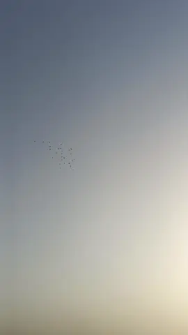 المخاليف بالخمسه الصبح#😂🤬  صعدوا#😂🤬_____🙈🤟______😂😂🤭 @ابو سرحان #😅 