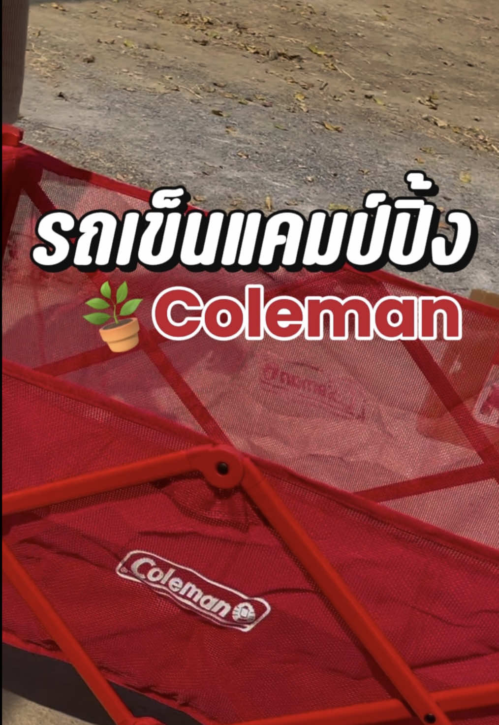 มาดูตัวจริง แดงสะใจ❤️‼️ #coleman #รถเข็นแค้มป์ปิ้ง #อุปกรณ์แค้มปิ้ง 