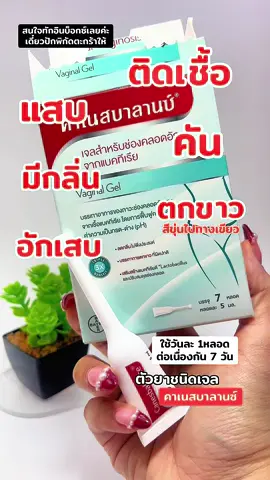 #canesten #คาเนสเทน #คาเนสเทนต้องเข้าเเล้ว1 #คันช่องคลอด #ตกขาว #แสบคันน้องสาว #ผลิตภัณฑ์ดูแลจุดซ่อนเร้น #คาเนสบาลานซ์ #คาเนสบาลานซ์ช่วยเรื่องตกขาว #ใช้ดีบอกต่อ #หมอแนะนํา #ตกขาวสีเทา #ตกขาว #บาลานซ์แอคทีฟ #น้องสาวมีกลิ่นปลาเค็ม #น้องสาวเหม็น 