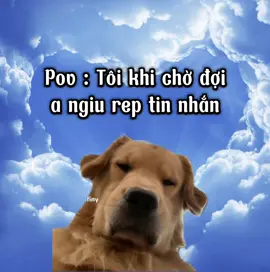 Bực bội òi nhaaa #xuhuong #foryou #viral #fyp 