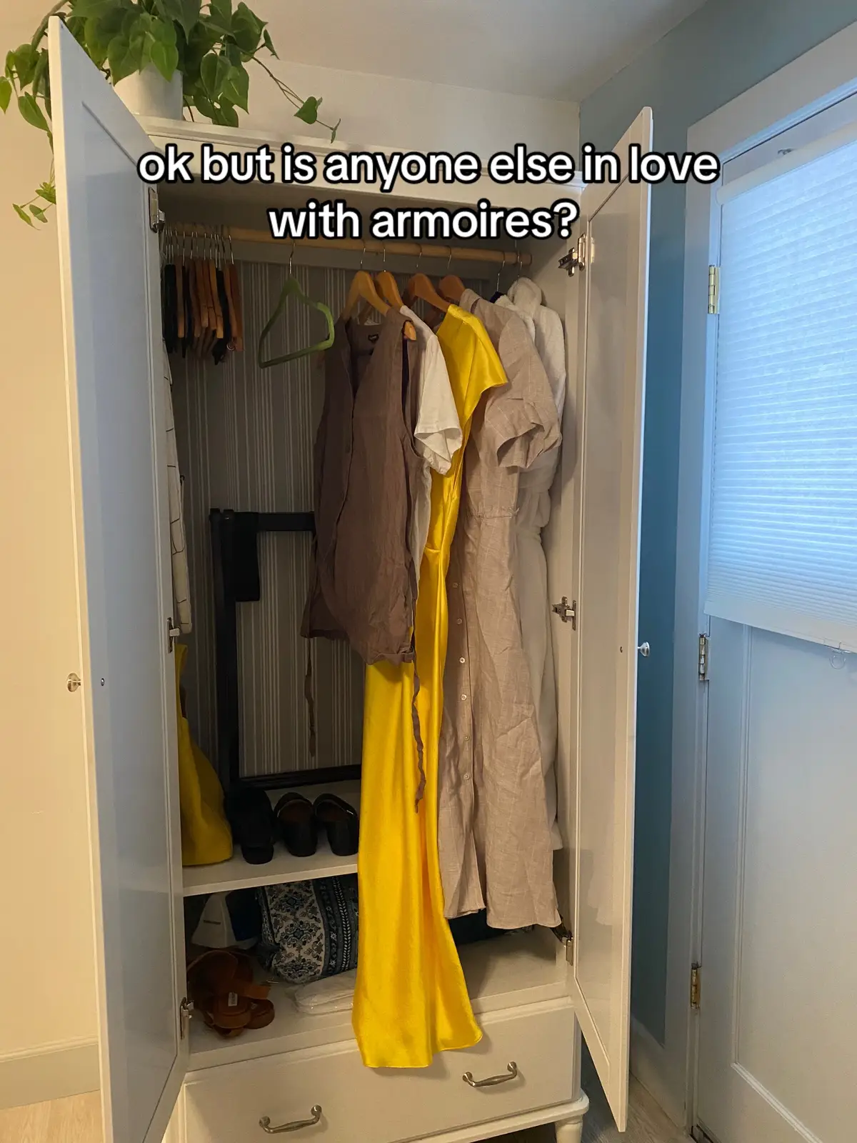when I was younger I wanted an armoire so badly. these pieces make me feel like a princess truly.  #furniture #closet #closettour #clothes #springfashion #fypシ 