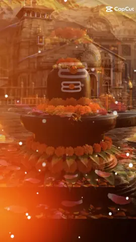 ##mahadev #bholenath #baba #fypシ🙏🕉️🙏🕉️🙏🕉️🕉️ 