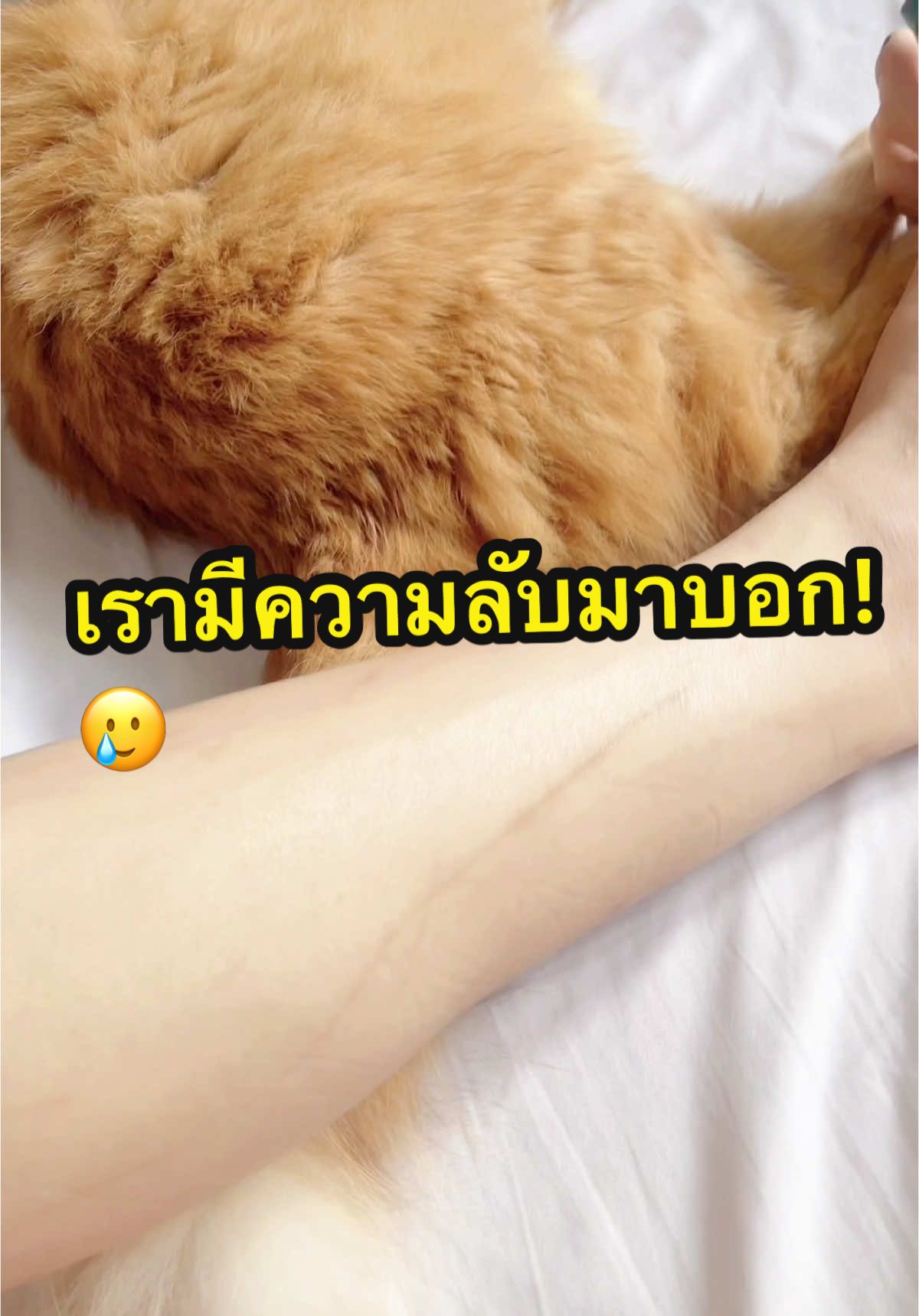 เจลลดรอยแผลเป็น#เจลลดรอยจักรวาลแผลกาย #PuricasAdvanced #เพียวริก้าส์แอดว้านส์ #ของดีวัตสัน #ครีมลดรอยแผล #รักษาแผลเป็น #tiktokป้ายยา #รีวิวบิวตี้ #TikTokBeauty #แผลเป็น #รอยแผลเป็น #แผลผ่าตัด #เจลลดรอยแผลเป็น 