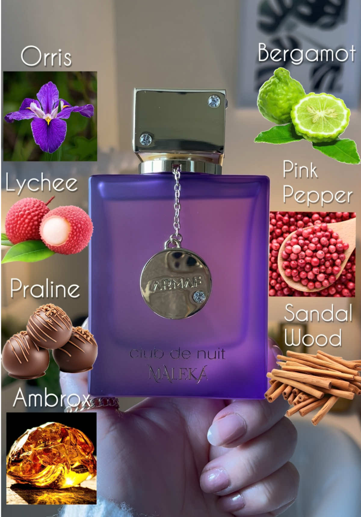 Maleka Club de nuit by armaf💐💜✨ New Middle Eastern Perfume that is fruity, fresh & floral 💐🍋‍🟩💜 A very elegant & feminine fragrance with exotic lychee, crispness bergamot, purple florals and creamy praline! this smells smells luxurious✨, also can be your new signature scent✨💜  @Fragrant Villa   💜💐Top Notes: Lychee, bergamot, pink pepper. 💜💐Middle Notes: Orris 💜💐Base Notes: Ambrox, praline, sandalwood   Click the orange cart to shop!🛍️🛒    #armaf#malekaperfume#clubdenuit#armafperfumes#middleeasternperfume#newperfume#arabianperfume#perfumearabe#arabperfume#arabicperfumes#perfumesarabes#perfumetiktok#perfumetok#viralperfume#perfumes#perfumereview#perfumerecommendations#perfumecheck#perfumelover#newrelease#newfragrance#womenperfume#perfumeaddict#smellgood#springperfume#tiktokperfume#fragrance#fragrances#fragrancetok#fragrancetiktok#fragrancereview#fragrancearmy#fragrancecollection#fragrancecollector#fragranceoftheday#fyp#tiktokfragrance#perfumedemujer#perfume#perfumecombo#perfumecontent#scent#scentoftheday  
