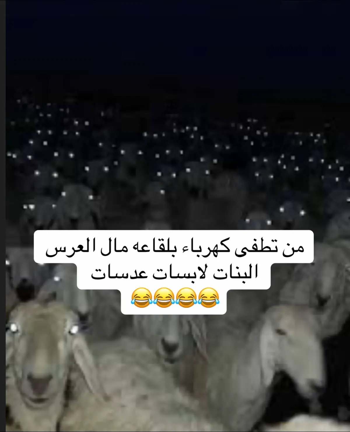 #بغداديةة🕊️🖤 #هههههههههههههههههههههههههههههههههههههه 