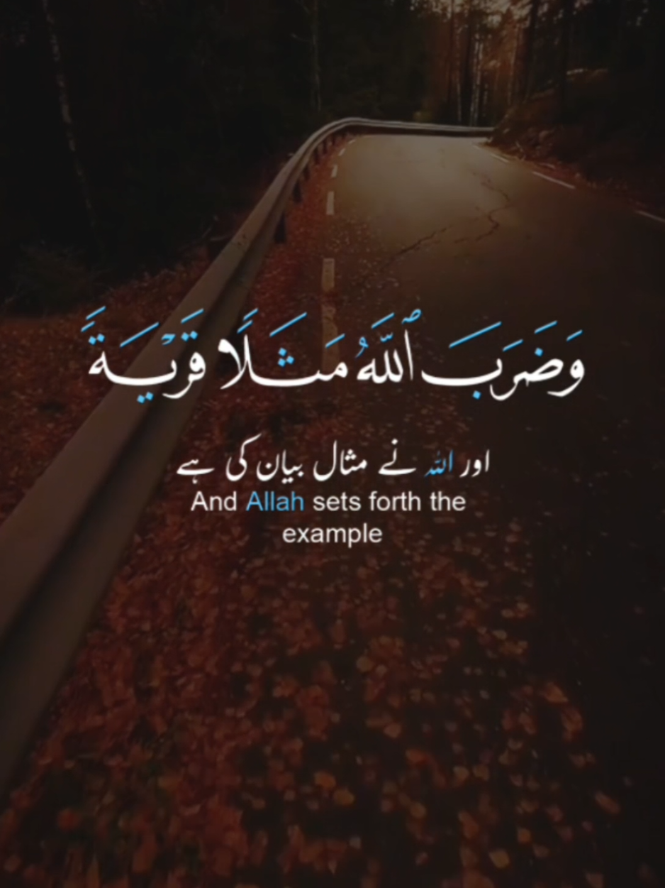 #creatorsearchinsights #peppermeyoaquebress #trending_islamic_sound_in_tiktok #islamic #راحة_نفسية #تلاوة_خاشعة 