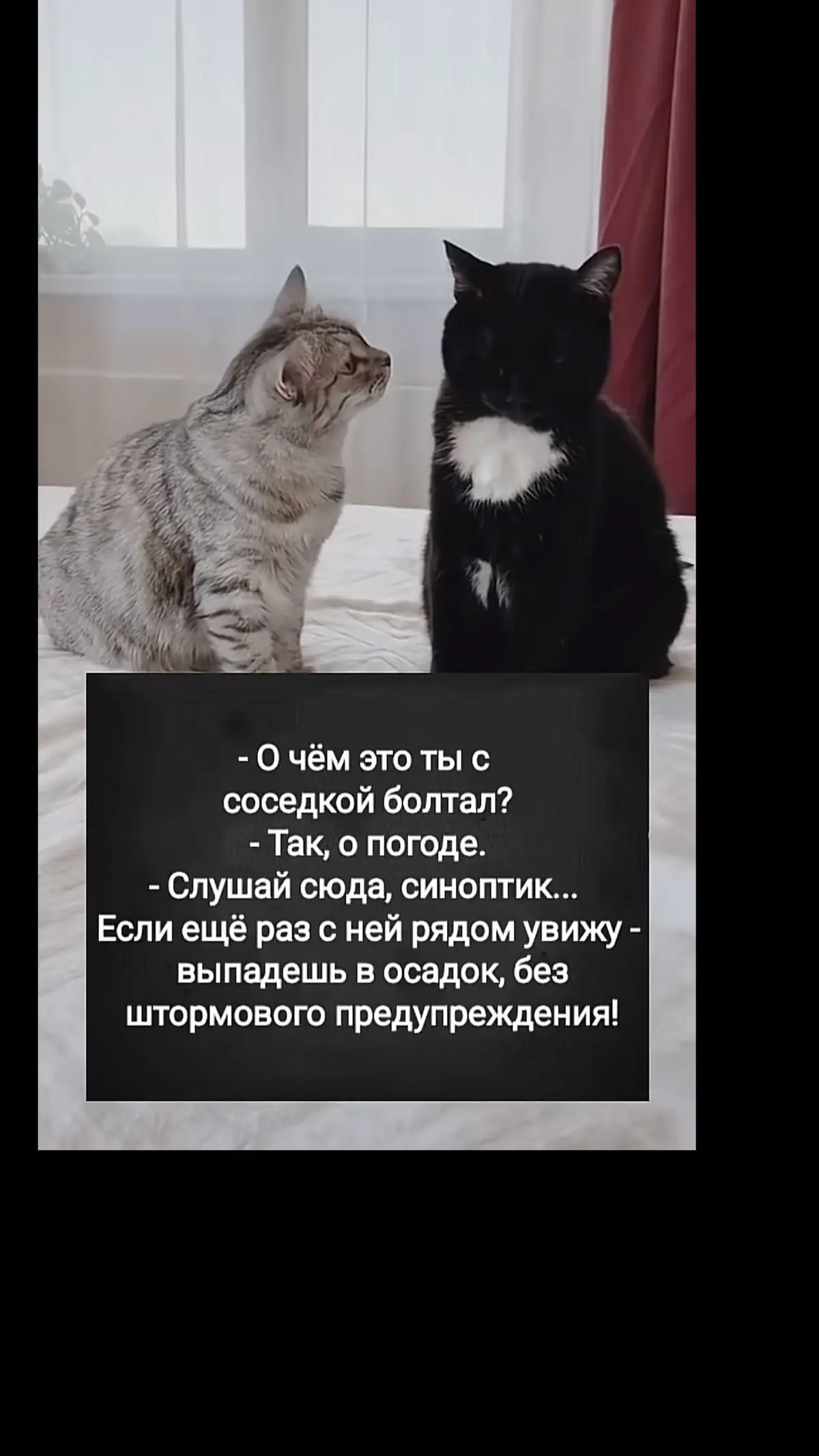 #юморсмешно #юморсмешно #позитивногонастроения😃 