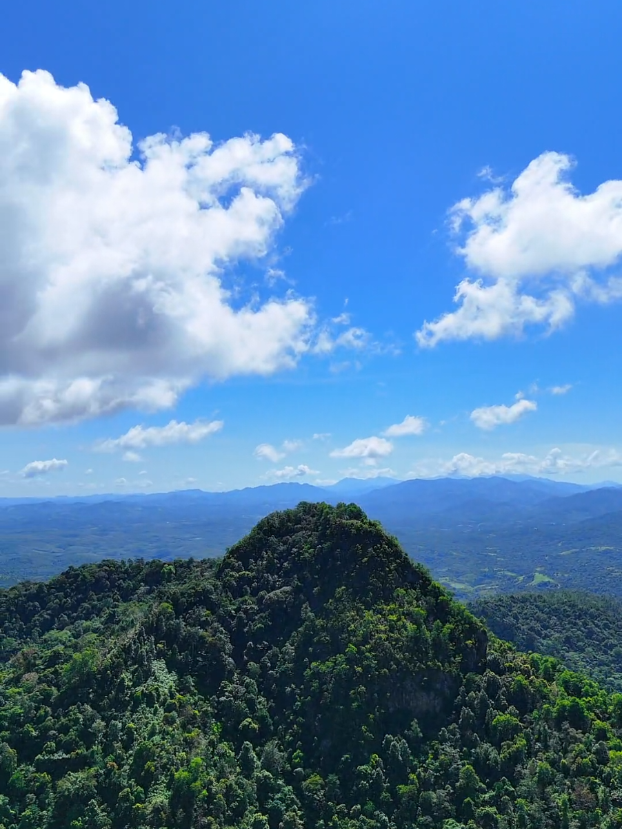 #pesonaindonesia #gunungtamban #dji #CapCut #tamban #fyp #healing #infokalimantan #kalselbungas 
