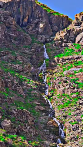 #سروشتی_جوانی_کوردستان #باڵەکایەتی #قەندیل 