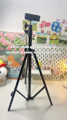 zá hạt dẻ mà siu uki #chanquaydienthoai #chanquayvideo #hulako #xuhuong 