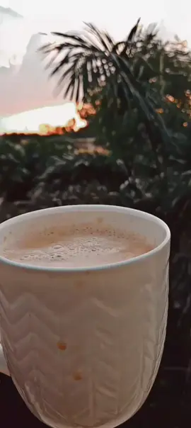 😂🙈 #chaa #chai #chaye #tealover #tealovers☕💗 #tealover_🖤 #chayee #fyp #foryoupage❤️❤️ #fypageシ #fypviralシ #viralvedio #viraltiktokvideo 