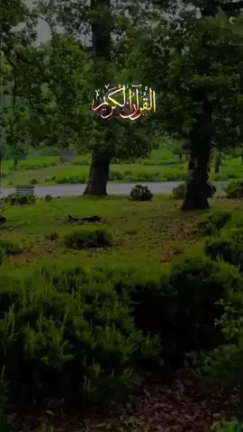 #CapCut #صدقة_جارية #virale #🇨🇵🇩🇪🇪🇦🇧🇪🇪🇺🇲🇦🇸🇦🇩🇿 