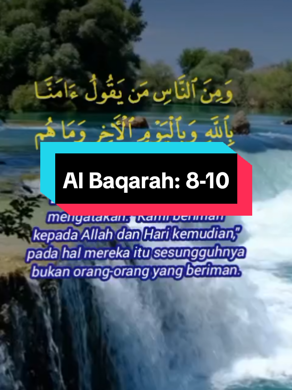 Murottal Al Qur'an Surah Al Baqarah ayat 8-10. #murottalquran #quranrecitation #holyquran  #quranrecitation #muslim #islam #terjemahanalquran #albaqarah #fyppppppppppppppppppppppp 