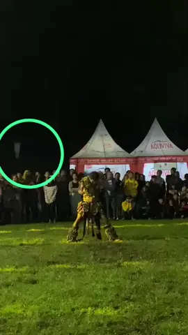jare mbak'e: lha rumangsamu sing meh nonton gedruk e menungso tho Cak? #kangenambyar #bonpolo #gintungan #jathilan #gedruk #falden #fyppppppppppppppppppppppp 