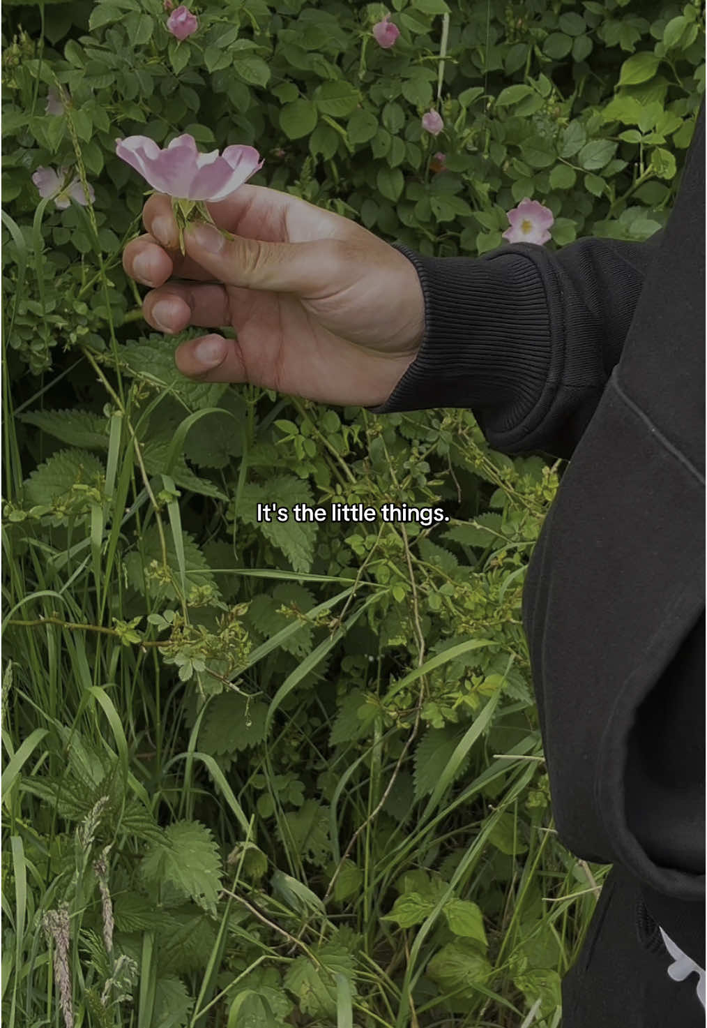 every time he sees a beautiful flower, he picks it for me 🌺 || #couple #Relationship #boyfriend #flowers #lover #desi #punjabi #blumen #fürdich #goviral #viralvideos #fyp #foryouu #foryoupagе 