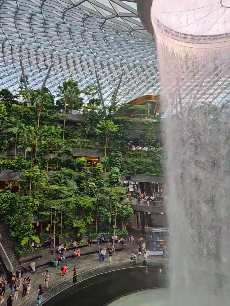 Transit in Singapore? Don’t just sit around — hop on the Skytrain between T2 & T3 and witness the world’s tallest indoor waterfall at Jewel Changi Airport! RainVortex is a must-see even on a layover! #ChangiAirport #RainVortex #SingaporeTransit #SkytrainAdventure #JewelChangi #TravelHack #jewelchangiairport #fyp @changiairport 