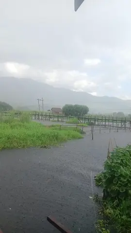 အင်းလေးမှာရွာတဲ့မိုး🌧#myanmartiktok🇲🇲🇲🇲 #viweလေးတက်ချင်လို့🥱 #မြင်ပါများပီချစ်ကျွမ်းအောင်လို့🤒🖤 