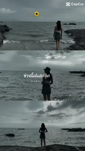 #สตอรี่ความรู้สึก  #🌻🌻🌻 