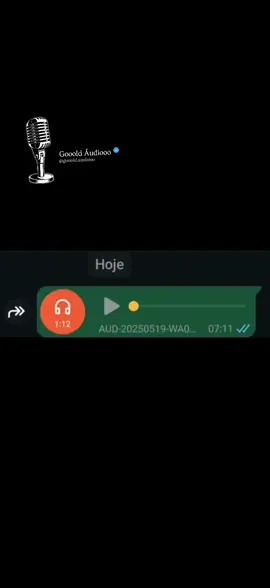 #fyp #audiosparatiktok #audioswhatsapp 
