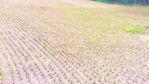 #🥰🥰🥰🥰🥰🥰🥰🥰 #🥰🥰🥰🥰🥰🥰🥰🥰 