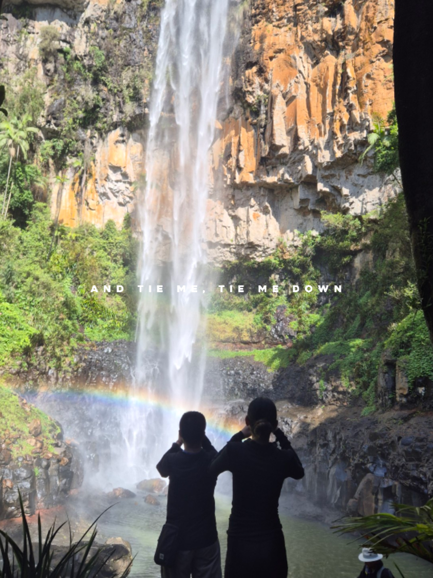 Springboard national park, only 90mins from Brisbane the views are well worth it 🥰  #hikes #nature #waterfall #views #green #springbrooknationalpark #fyp 