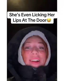 😂😂😂 #dog #funny #uk #foryoupage #fyp #tiktok 