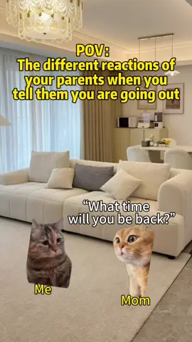 The different reactions of your parents when you tell them you are going out#catmeme #meme #catsoftiktok #Relationship 