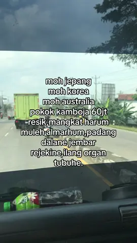 mulyo sementara #fyp #beranda #viral #trending 