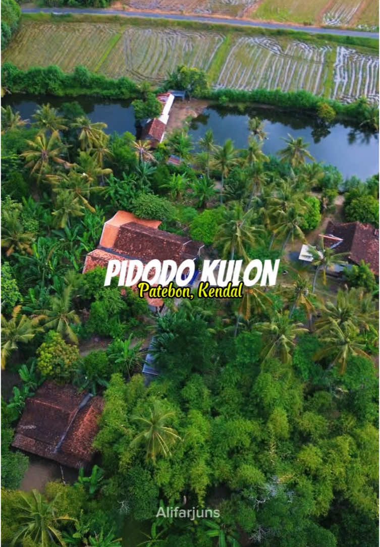 Desa Pidodo Kulon, Patebon, Kendal requesan dari teman baik saya barang kali dia kangen sama desanya Yang requesannya belum di turuti sabar ya😀 #Kendal #Patebon #drone #dronevideo