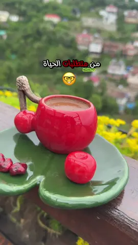 من متطلبات الحياة بعد الأربعين 😁…واتوقع كمان لكافة الاعمار 😎… #الاربعين #الحياة #اكسبلور #رياكشن  @لبنى سليمان 
