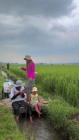 Sadermo nglampahi gusti 🤲🏻#petaniindonesia🇮🇩🇮🇩🇮🇩🌿🌿 ##petanipadiindonesia #pejuangpangan🌾🌾 #petanimilenial #petanimuda #genz #cinematic #fypage #fyppppppppppppppppppppppp 
