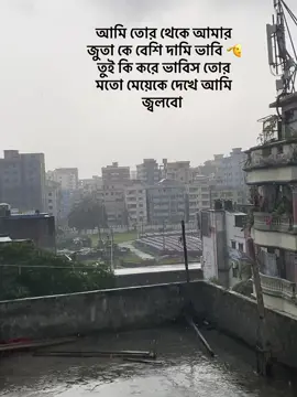 আমি তোর থেকে আমার জুতা কে বেশি দামি ভাবি 🫡 তুই কি করে ভাবিস তোর মতো মেয়েকে দেখে আমি জ্বলবো 