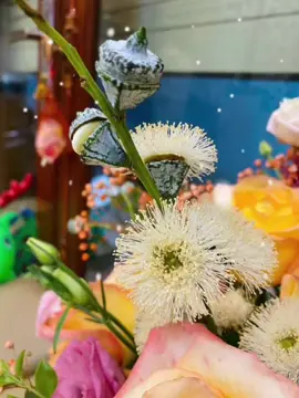 #japan 