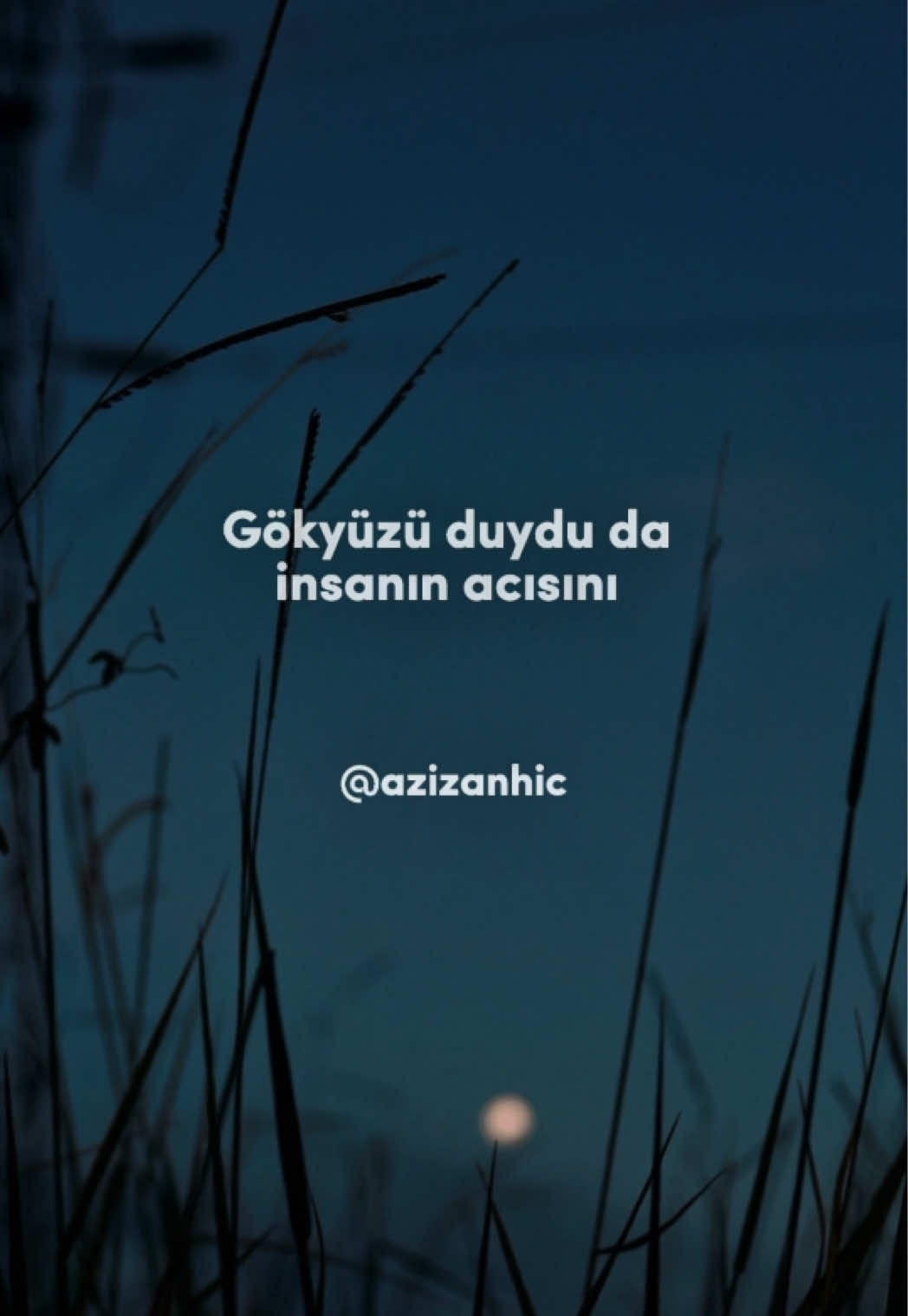 Gök duydu da insanın acısını  İnsan duymadı insanın feryadını  Kuş bildi de yan yana uçmayı İnsan bilemedi insanın elini tutmayı  Dağ bastı da bağrına her canlıyı  İnsan açamadı insana kapıyı Nehir bildi de denize karışmayı  İnsan insana karışamadı. Ne yazık ki, İnsan insanı anlayamadı.