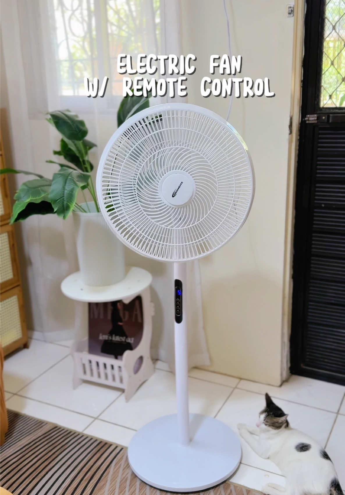 Aesthetic Stand Fan w/ Remote Control 💨 #standfan #electricfan #electricfanstand #maimeite 