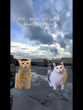 kelakuan siapa kaya gini 🗿#storytambang #storyanaktambang #anaktambang 